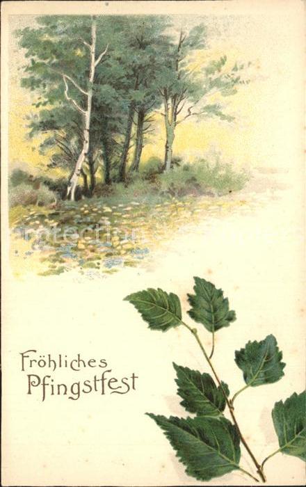 Pfingsten Pentecost Pentecote Bäume Hänge-Birke Blätter Litho