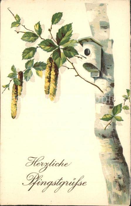 Pfingsten Pentecost Pentecote Vogelhaus Haselkätzchen Litho