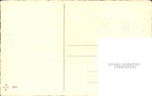 Pfingsten Pentecost Pentecote Birkenblätter Haselkätzchen Maiglöckche – Bild 2