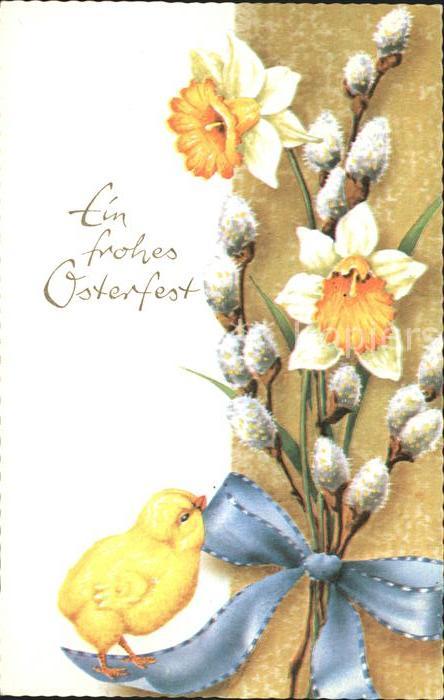 Ostern Easter Paques Küken Narzissen Weidenkätzchen