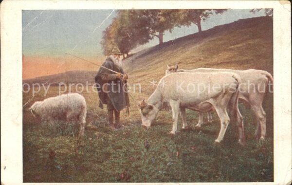 Kuenstlerkarte Jobst Ein Sommermorgen Hirte Kühe Schaf