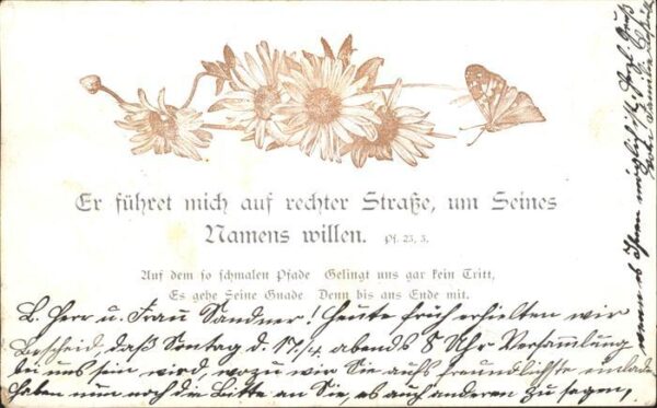 Schmetterlinge Margeriten Psalm 23 3.