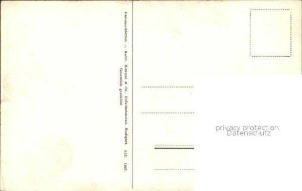 Pflanzen – Bild 2