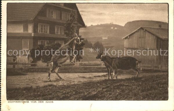 Ziege Zeitvertreib vor dem Haus
