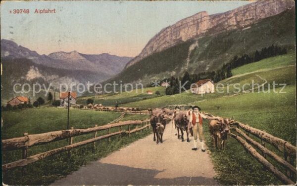 Kuehe Alpfahrt Senn