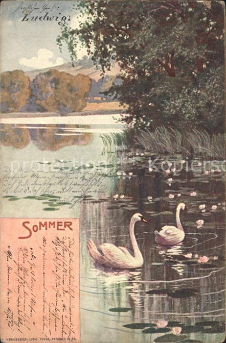 Jahreszeiten Sommer Schwäne