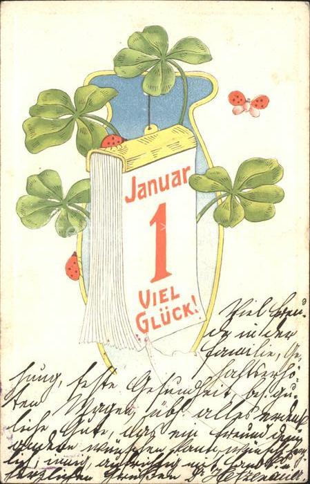 Neujahr 1. Januar Kleeblatt Marienkäfer Glück L