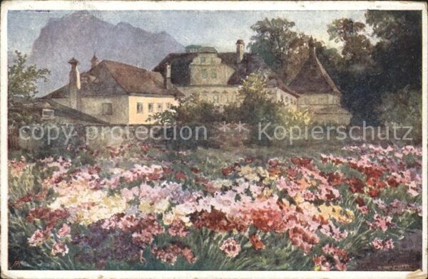 Kuenstlerkarte Helene v. Pausinger Das Nelkenfeld Wien