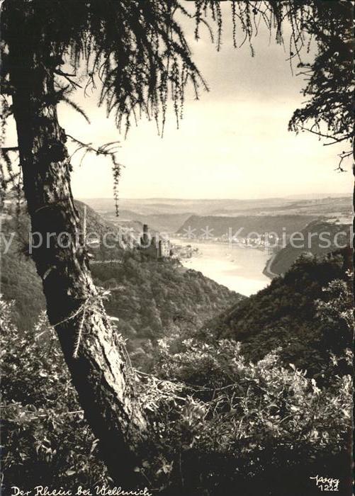 Foto Popp Nr. 1222 Rhein Wellmich Burg Maus