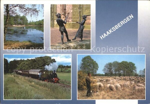 Lokomotive Haaksbergen Schafe Hirte