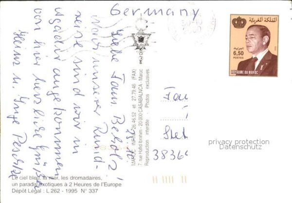 Kamel  Camel Chameau Marokko Typen – Bild 2