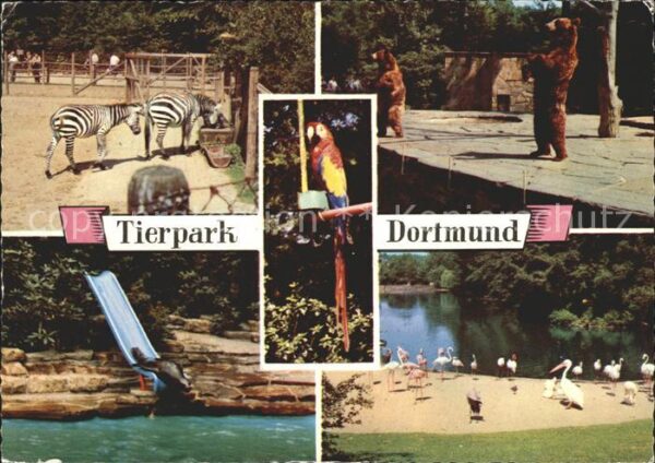 Zoo Tierpark Dortmund Zebra Bär Papagei Pel