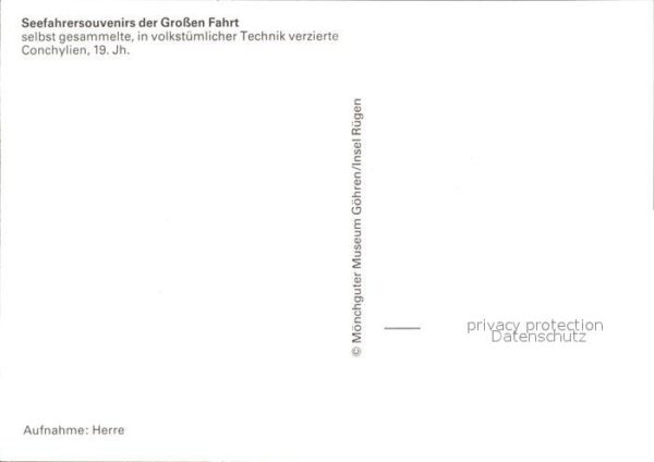 Meerestiere Conchylien Technik Verzierung Name 19. – Bild 2