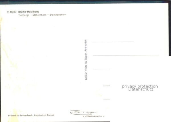 Postbus Brünig-Hasliberg Tierberge-Mährenhorn-S – Bild 2