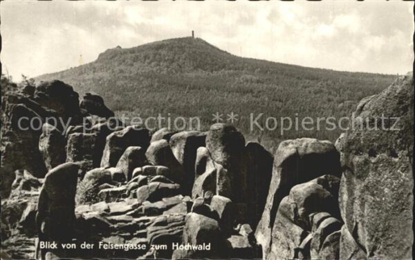 Oybin Felsengasse Hochwald