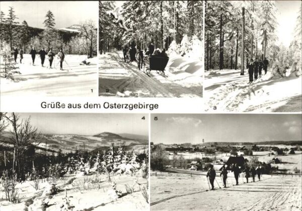 Geising Erzgebirge Pferdeschlittenpartie Kahleberggebiet Z
