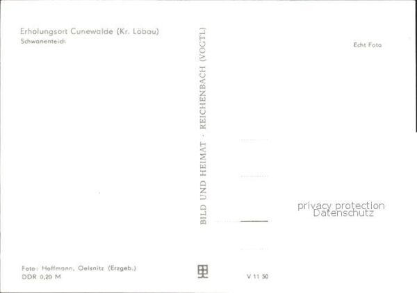 Cunewalde Schwanenteich – Bild 2