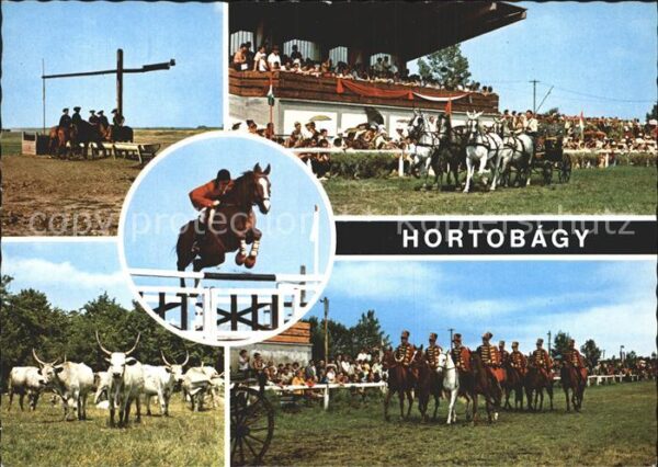 Hortobagy Pferd Sport