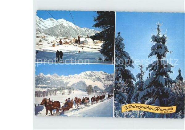 Ramsau Dachstein Steiermark Pferdeschlitten Skigebiet