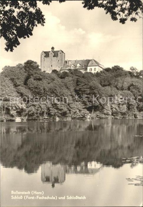 Ballenstedt Schloss Schlossteich