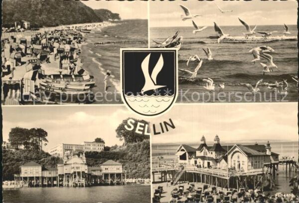 Sellin Ruegen Strand Möwen Seebrücke