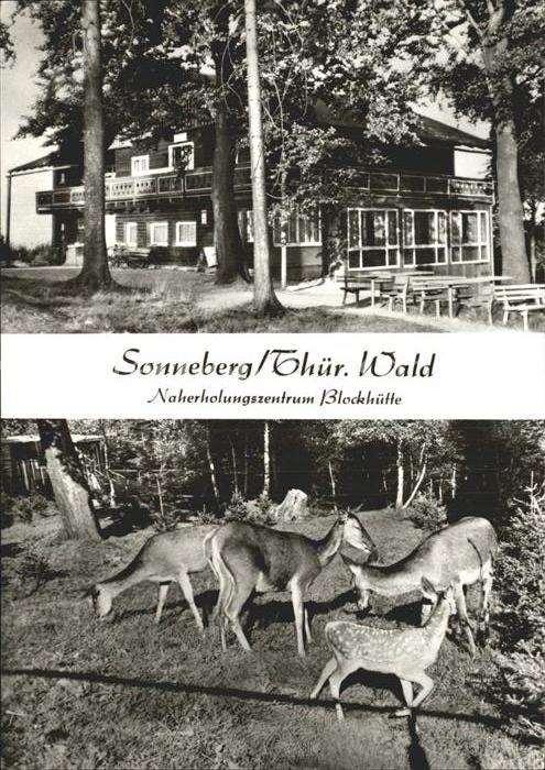 Sonneberg Thueringen Naherholungszentrum Blockhütte Wildgehe