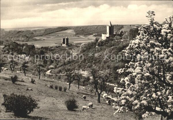 Saaleck Rudelsburg und Burg saaleck