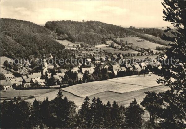 Geising Erzgebirge Teilansicht