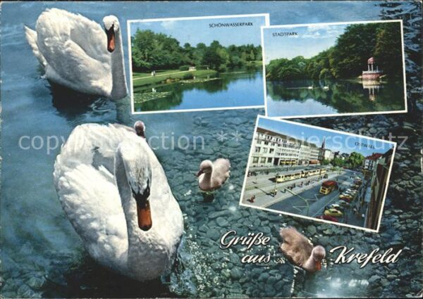 Krefeld Schönwasserpark Stadtpark Ostwall Schwa