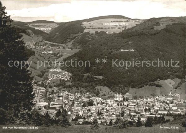 Todtnau Blick vom Hasenhorn