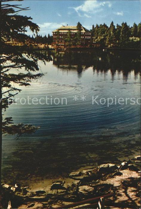 Mummelsee Seeufer