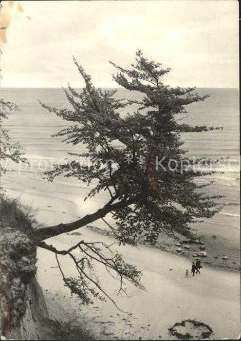 Heringsdorf Ostseebad Usedom