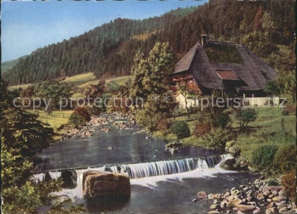 Hornberg Schwarzwald Schwarzwald-Bauernhaus