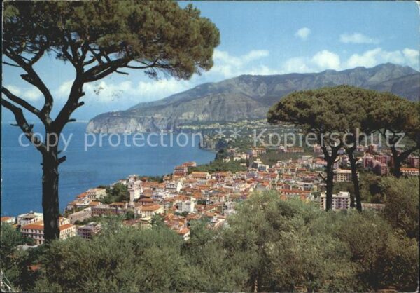 Sorrento Campania Pinienhügel