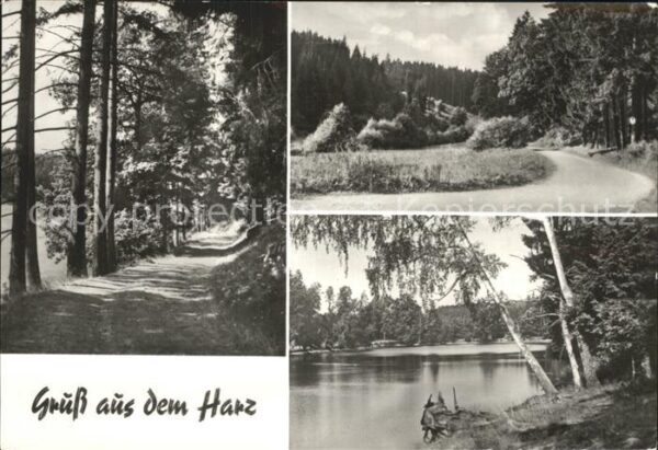 Harz Region Silberhütte Teufelsgrund Uhlenbach Fürs