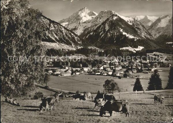 Oberstdorf Panorama Viehweide