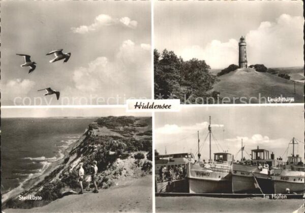 Insel Hiddensee Möwen Leuchtturm Steilküste Hafenpartie