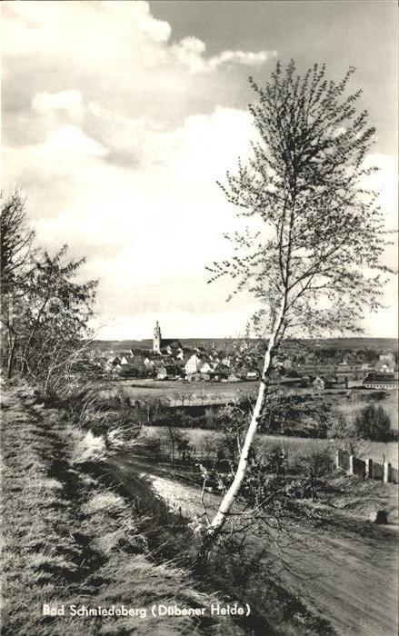 Bad Schmiedeberg Panorama