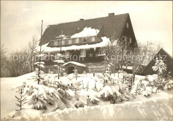 Waldidylle FDGB Falkenhorst im Winter