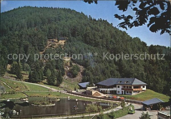 Todtnau Bergwildpark Steinwasen Schwarzwald
