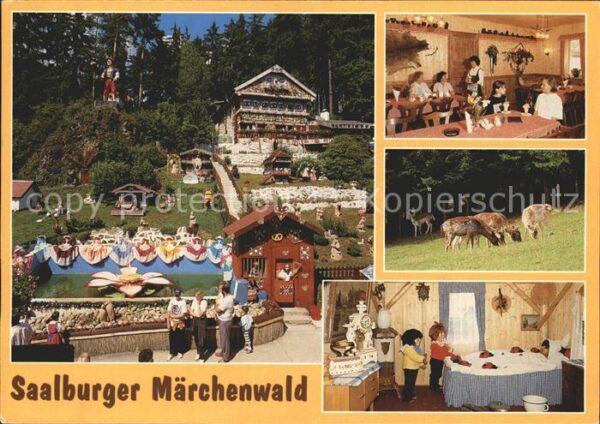 Saalburg-Ebersdorf Saalburger Märchenwald Freizeitpark Tie