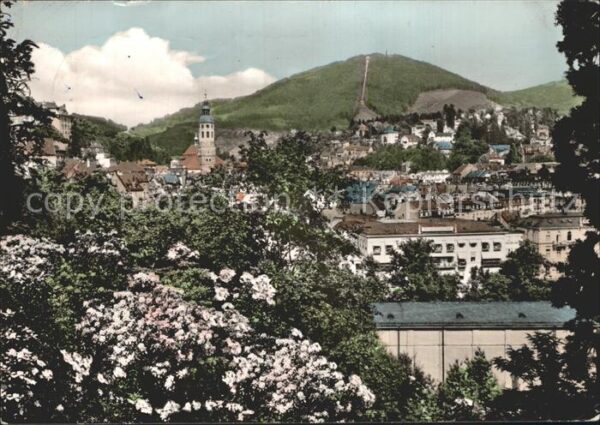 Baden-Baden Blick über die Stadt Baumblüte