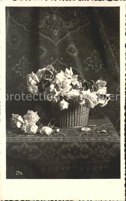 Rosen Foto-Finzi-Nr. 17a