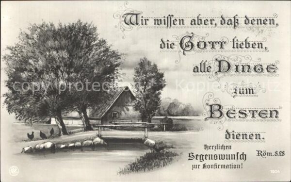 Verlag NPG Nr. 1904 Bauernhof Hühner