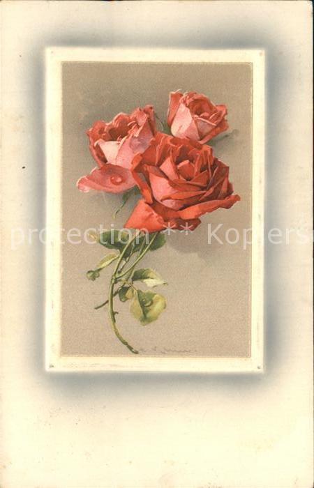 Verlag Meissner und Buch Rosen Litho