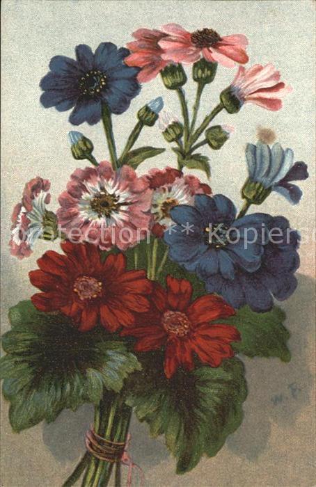 Blumen Weihnachten Neujahr