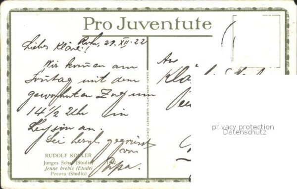 Koller Rudolf Junges Schaf – Bild 2