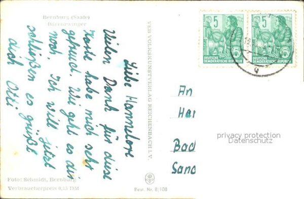 Baeren Bärenzwinger Bernburg Saale – Bild 2