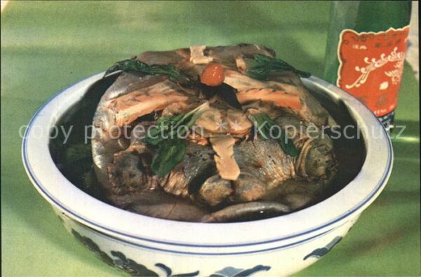 Lebensmittel Broth with Soft-shelled Turtlesof the W