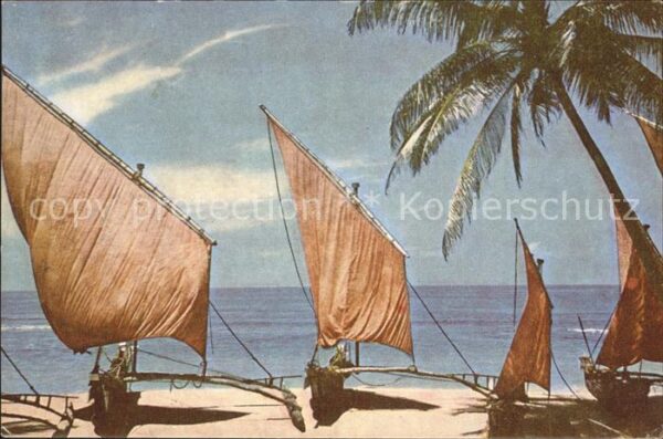 Fischerei Fishing Boats Sri Lanka